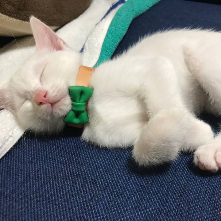 B662e7de e345 4baa 9abb 4b777e49798d 1594391047776