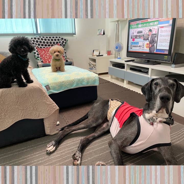 B6632ffc 5231 42b8 94d9 8283af4a8727 1630880785826