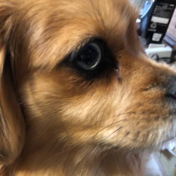 B6638187 f733 4934 ab1e 00123babd446 1552862753381