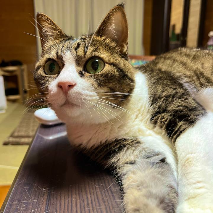 B6638237 43d7 4907 a240 87d4ca95e4bc 1690028688952