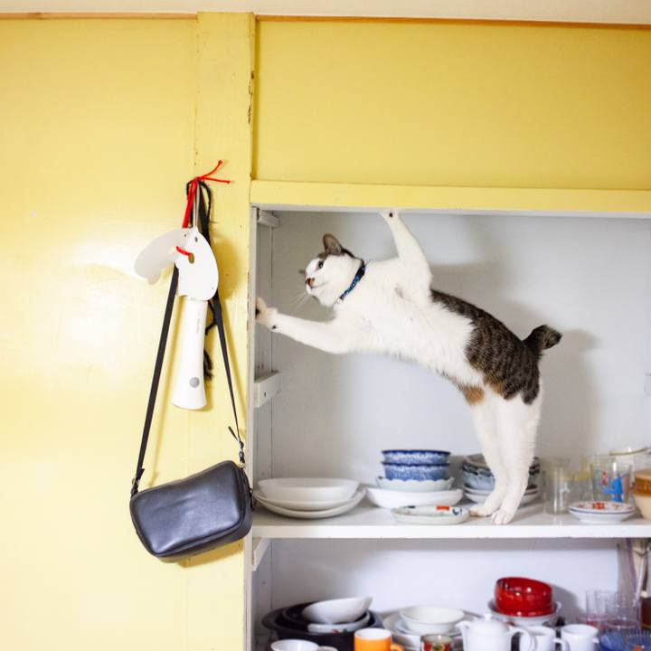 B66399dc e2ad 4550 9e6d abcc4948afb3 1551671014505