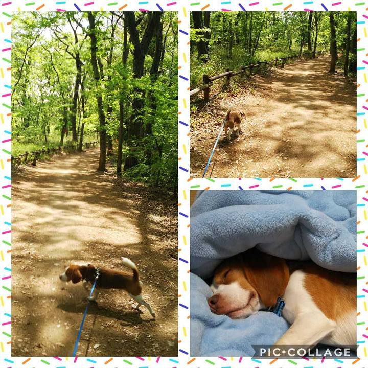 B663a76d 7baf 4c9b 9ca1 12e97196da8c 1555761964458