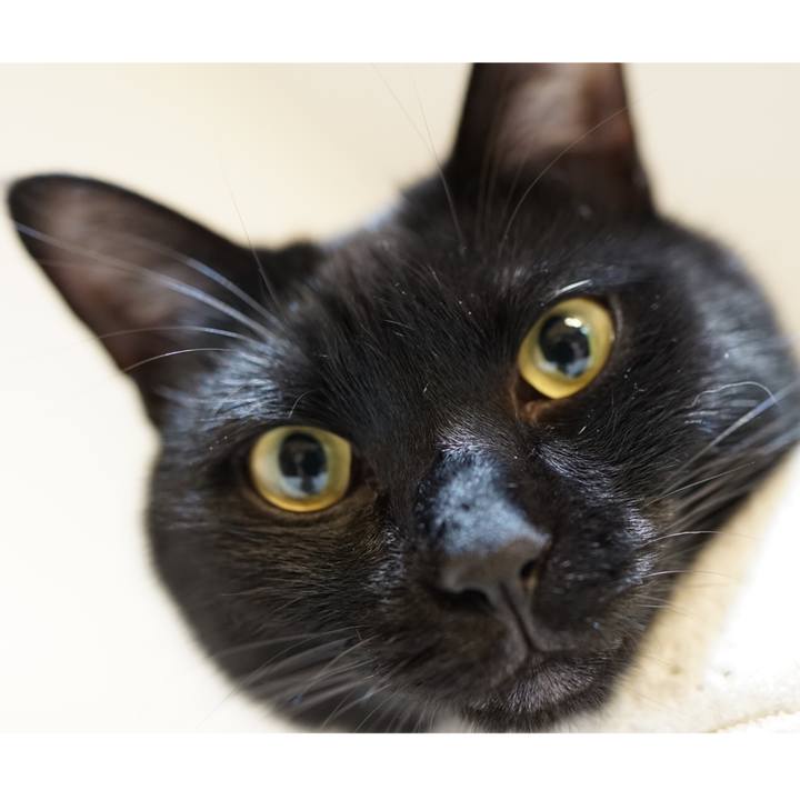 B663d55d a8ce 4708 81b6 5c796127d86f 1559394867790