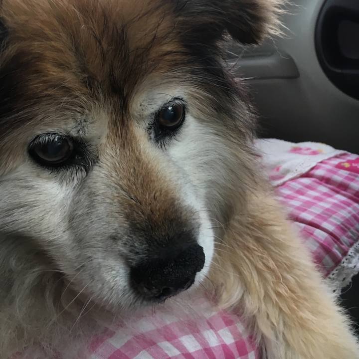 B663ed48 4491 47c6 84cb 3f41a75239d2 1627532827268