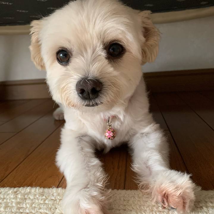 B663f579 221d 42ae b0b7 a43d55e27df6 1627016256380