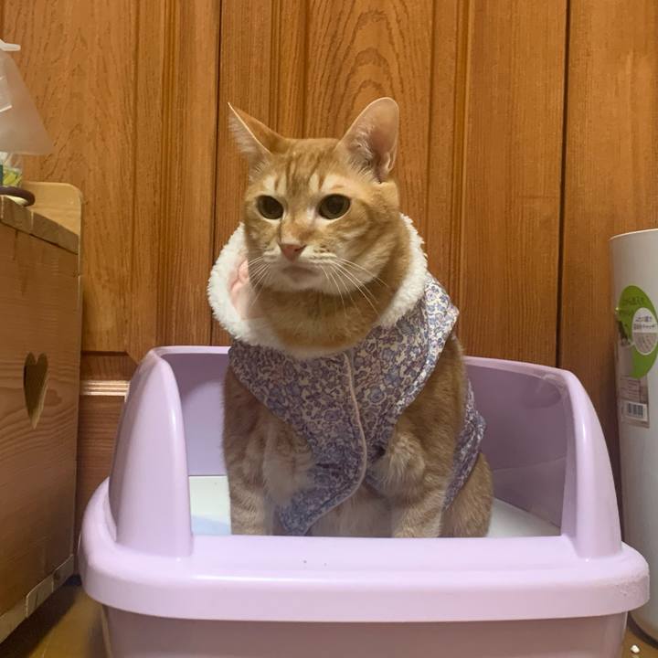 B6643745 5e20 48a3 8e78 e88d79ecffcf 1581174416847