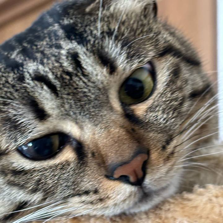 B6644233 1c8d 4ae3 8965 5d883275f4a1 1771031676649