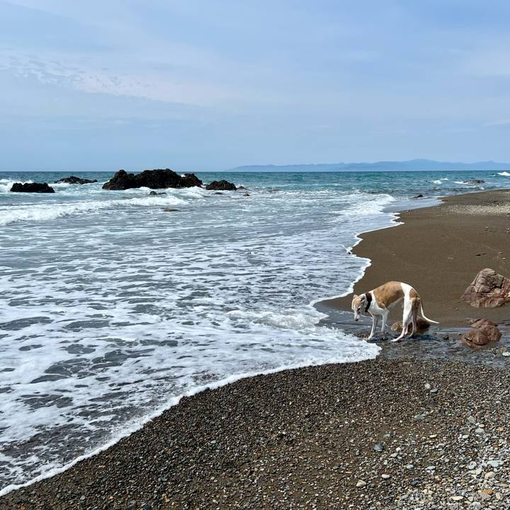 B66448ff fa5a 43de 9b20 f7d4f0ae94e0 1759566200697