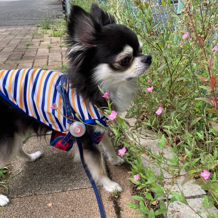 B664526f dd04 4cf5 8f34 749b2cdda2c3 1718553010938