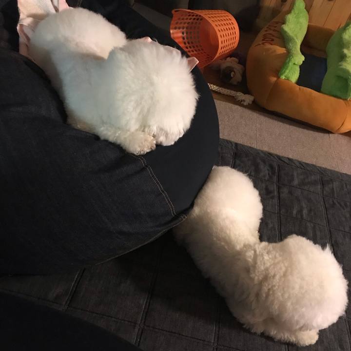 B66471bb 1cf2 4825 97a8 5b54dc787a03 1569921064008