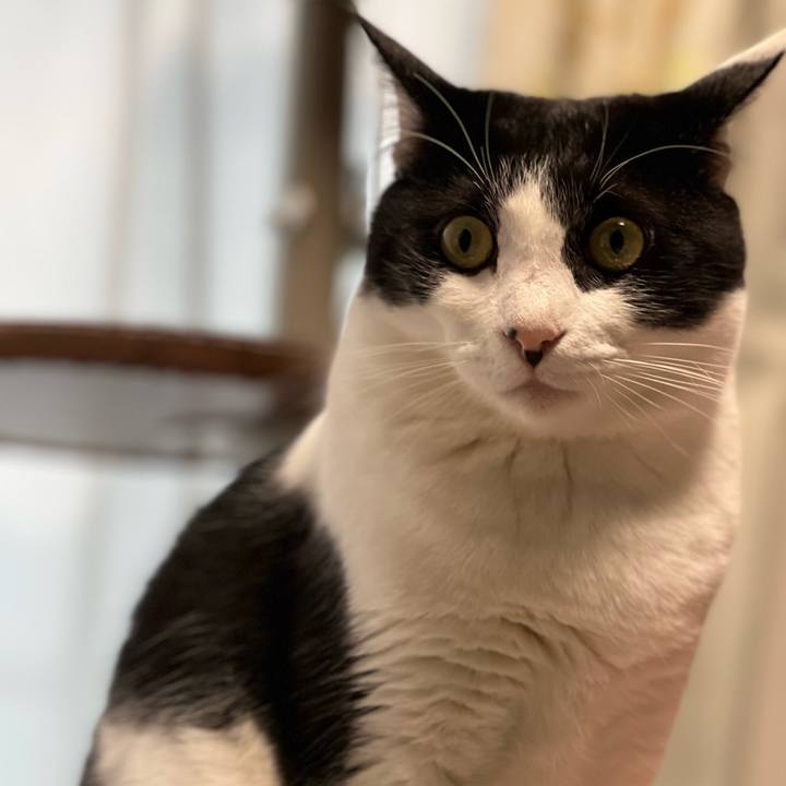 B664905d caad 489b ba57 07892f1de662 1682774568499