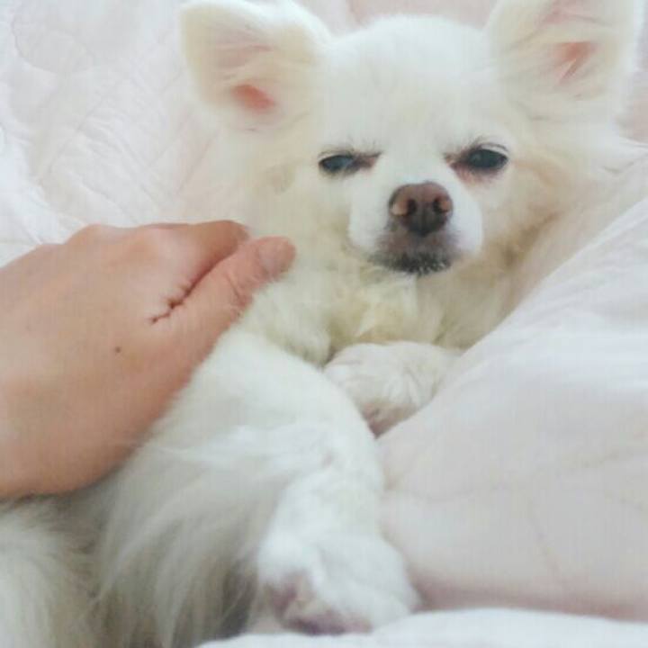 B664dfda cd40 467d a897 2c3e339d2ef2 1525599402904