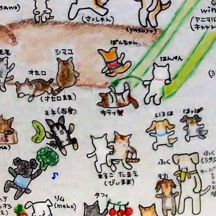 B664f306 faed 40e5 bd95 a27bca998242 1703551893259