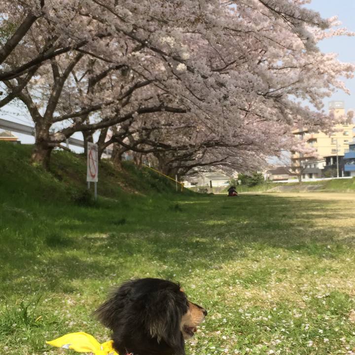 B6652408 25b1 4d80 a64f 0efe9ce2d37a 1522633230607