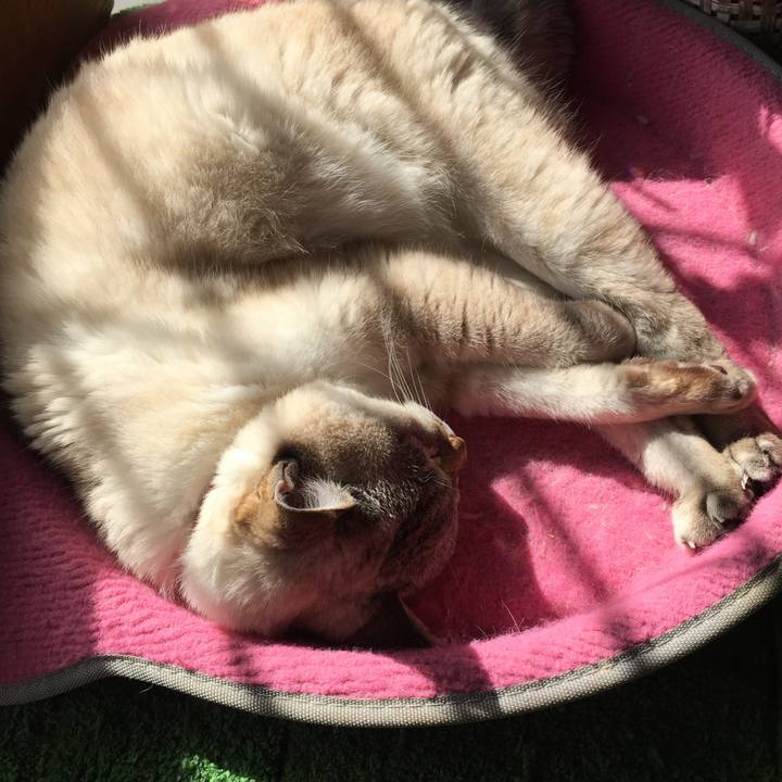 B665636d 4035 4f10 884d 02ac1b18466f 1582088694446