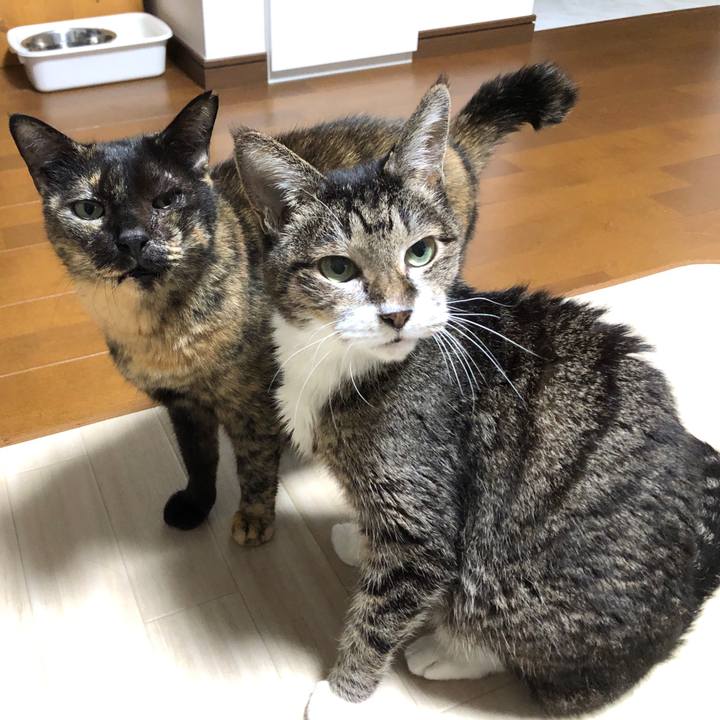 B665aa51 b21d 4972 a1a3 03a32f7c4a6b 1665311232340