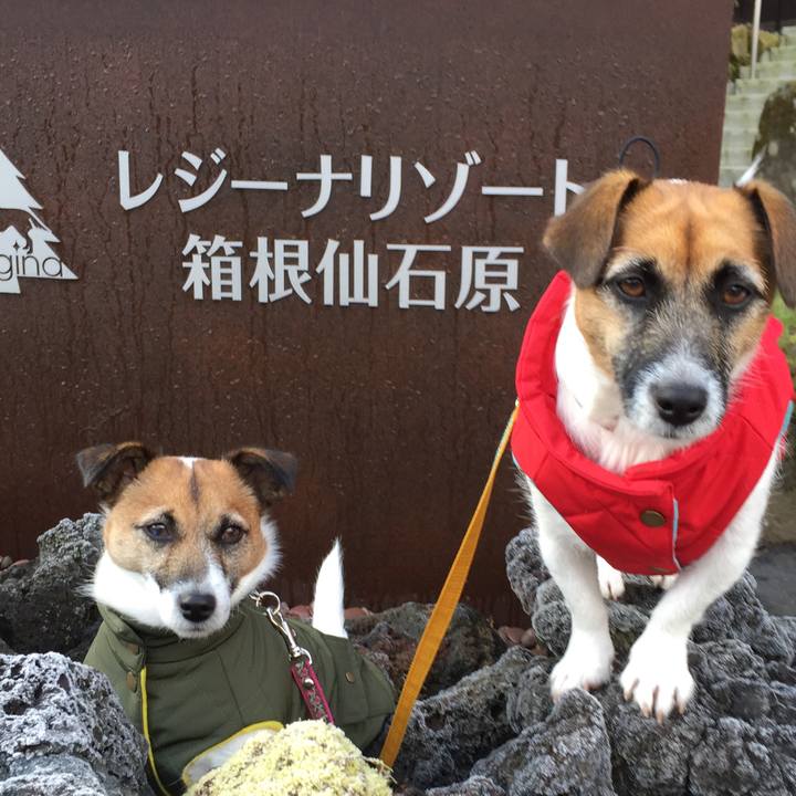 B665d60e 50d3 4323 822b a0305b3a1861 1545002896016