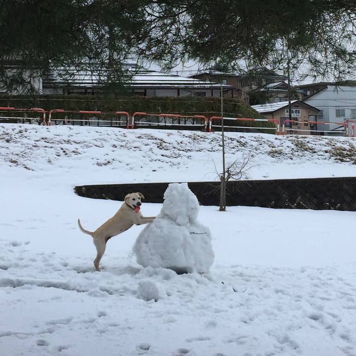 B665dd9d b9e2 4d53 9f8a 8da6204192ee 1564748930064