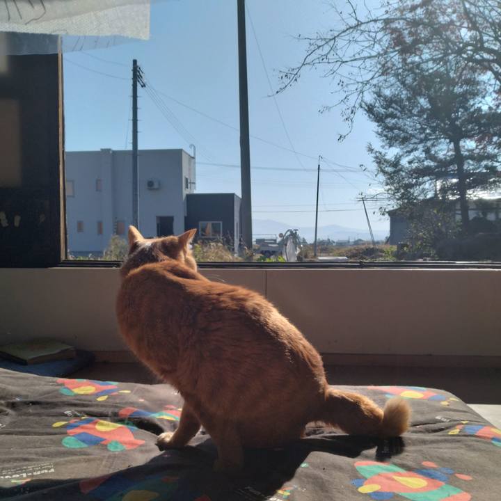 B665ecbe 8ffc 40c5 9cab 6c06ad9f2daf 1668223174151