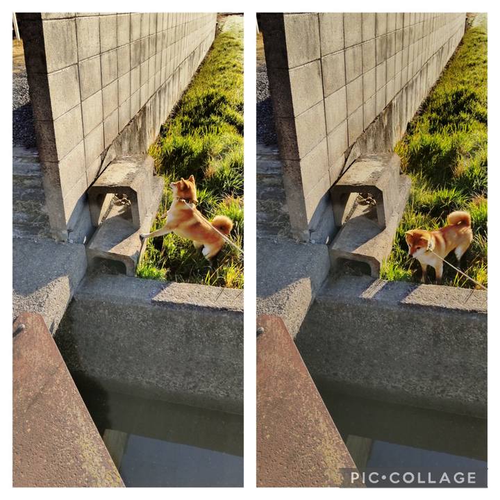 B6664bd3 c6d8 422f 9afd 5910e34e3c77 1708129413298