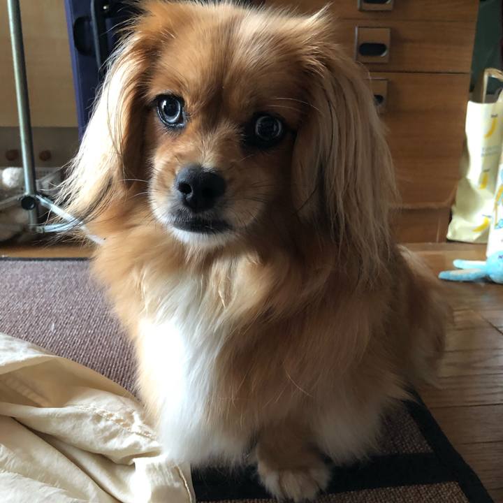 B66683a4 3f05 45a9 93a8 44885a639fc2 1563058396063