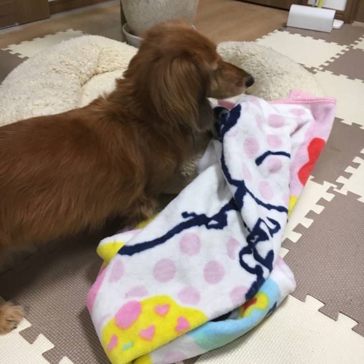 B666b3a7 a922 4bb2 a4ff 8b8efb5f04a6 1555395754868