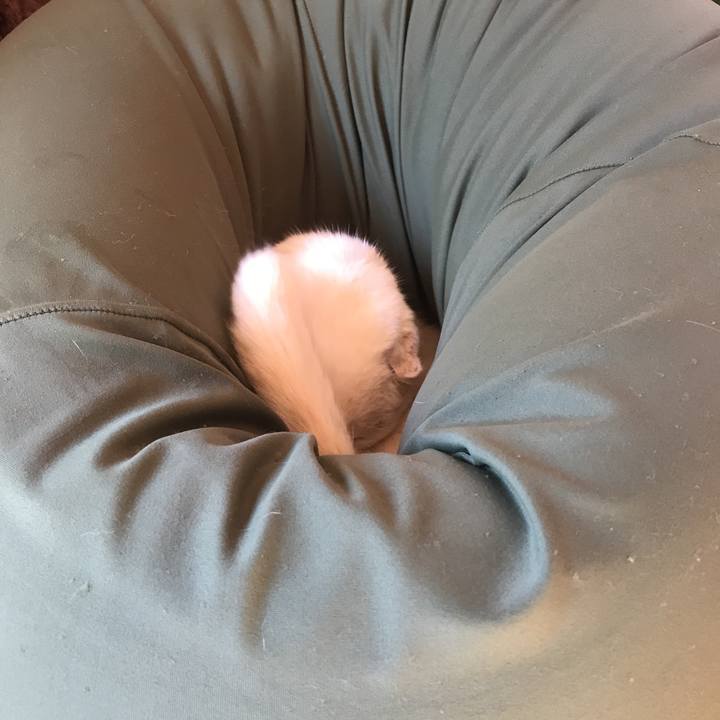 B666ba49 0dc4 43f8 a1ee 9958fbc8bb24 1527893879956