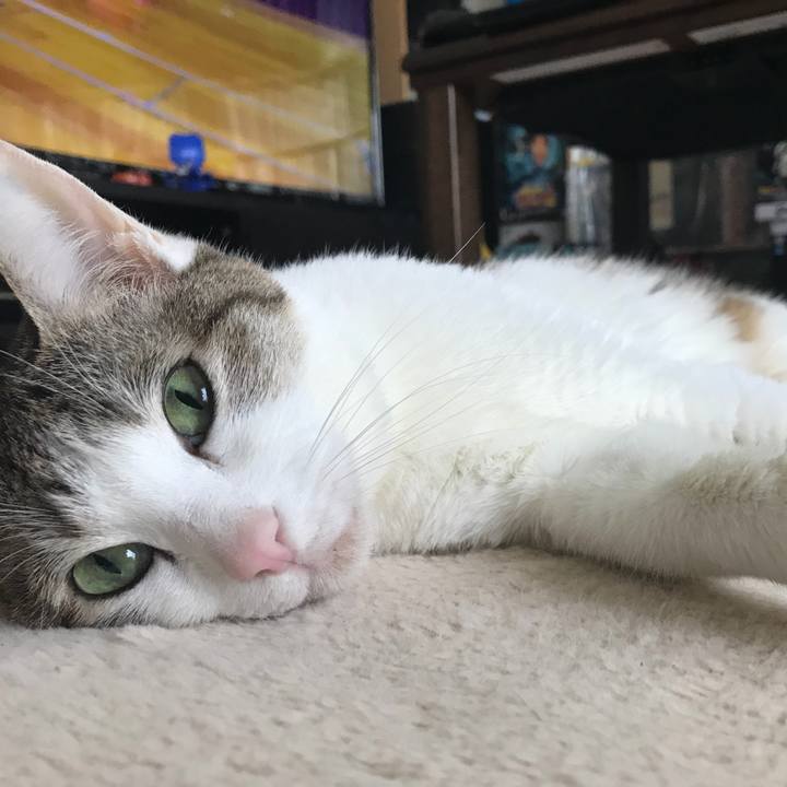 B666c0a2 0e94 4fb6 bd82 2e59e6b78b4f 1764114089789