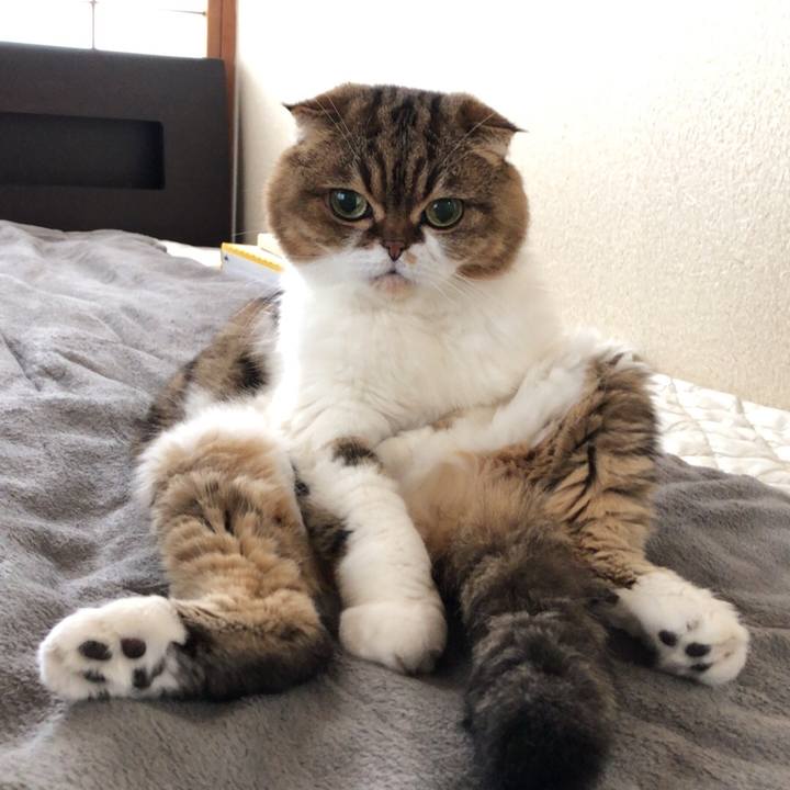 B667138b dfb7 48d9 9359 54e02e2896e7 1543375581086