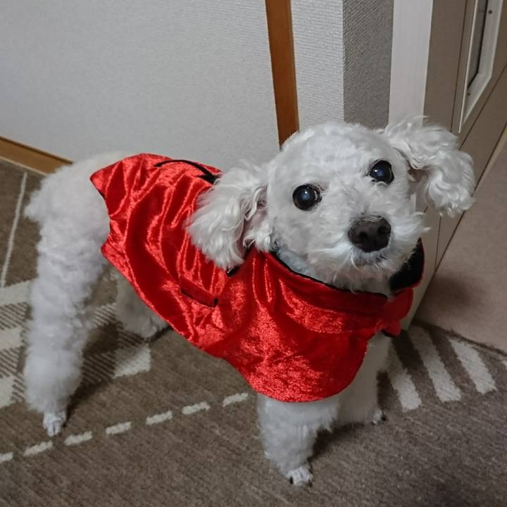 B6672d70 7926 4b00 8fba 1926e6586190 1571645695823