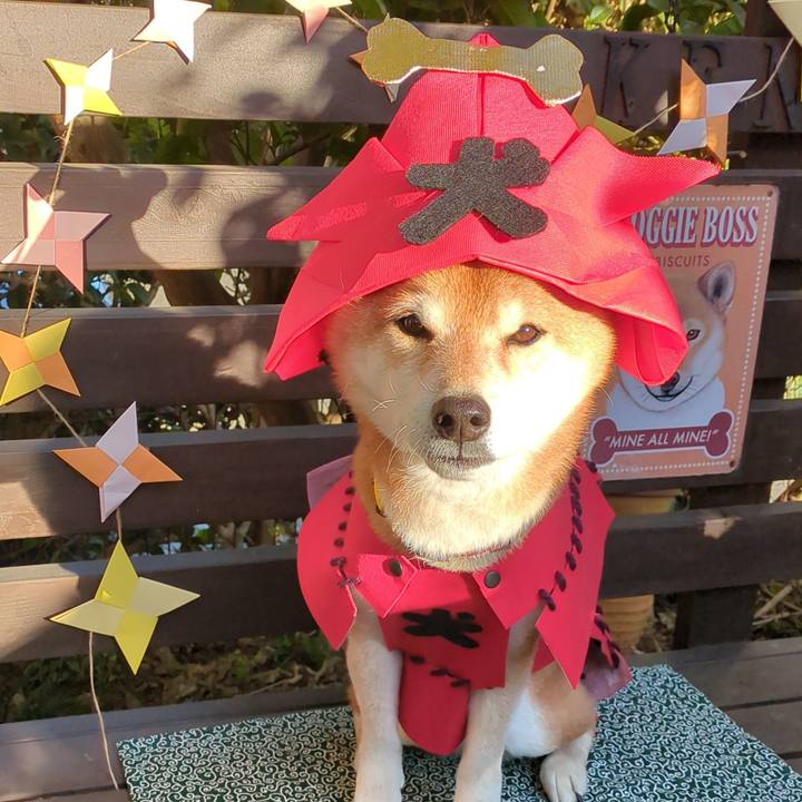 B66735b4 cdeb 4ca3 a8c4 2d34d1a5e5aa 1739366821588