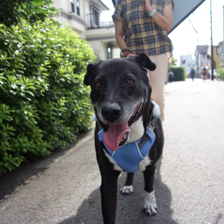 B6673cd8 56fc 4b87 8a2c 6c1e4bc46cf4 1721356301302