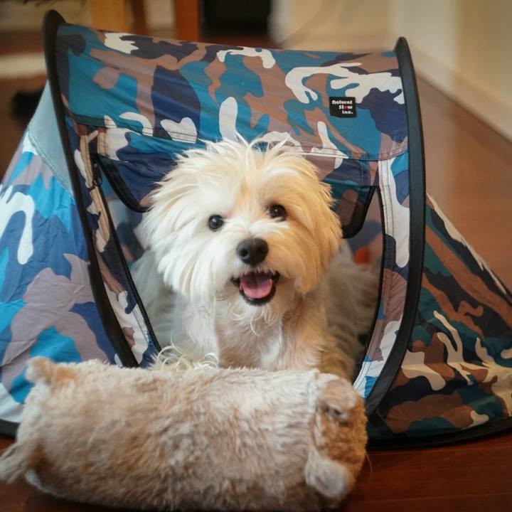 B6675ece b854 4c7e 8280 c47b1b620cb6 1524640768386