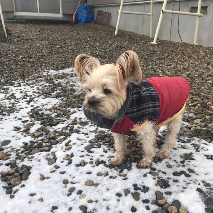 B667870f 5c90 4acd 967e 4587e980cdc9 1553854179494