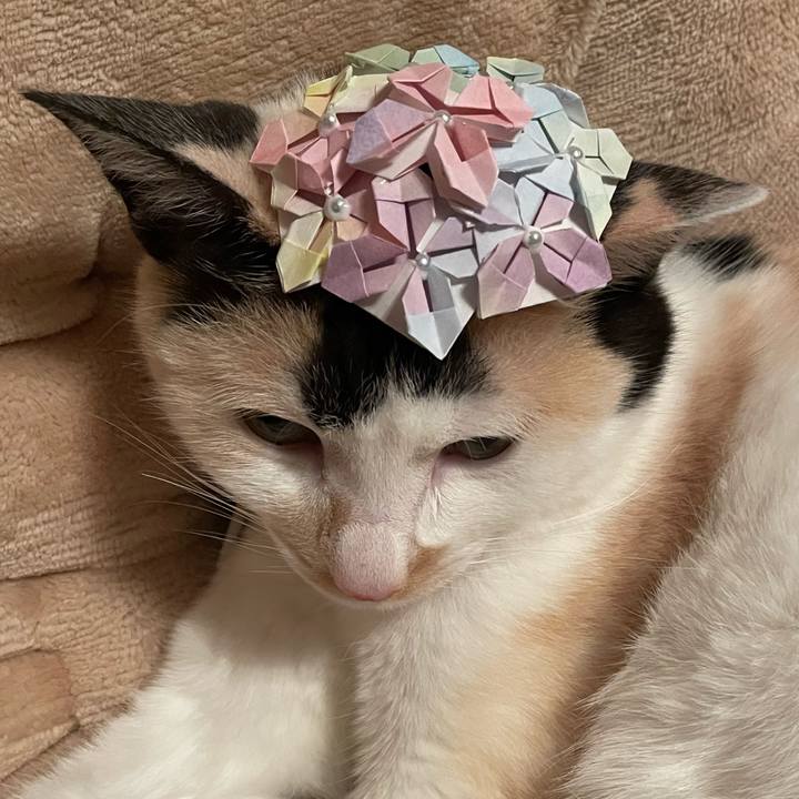 B667b191 74b1 4b88 85c0 8389d5101306 1745763570183