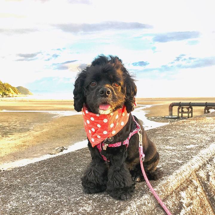 B667c9ff 59a3 4bcf 88d2 dcd99154b529 1532871605804