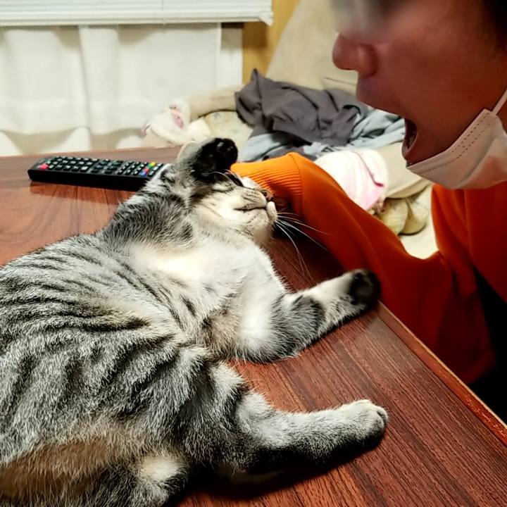 B668084a d5c0 4ab1 b653 bf7e80b775f0 1668601882963