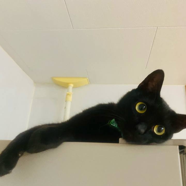 B6681124 8116 498a 8c78 2e8b85158158 1655673286168