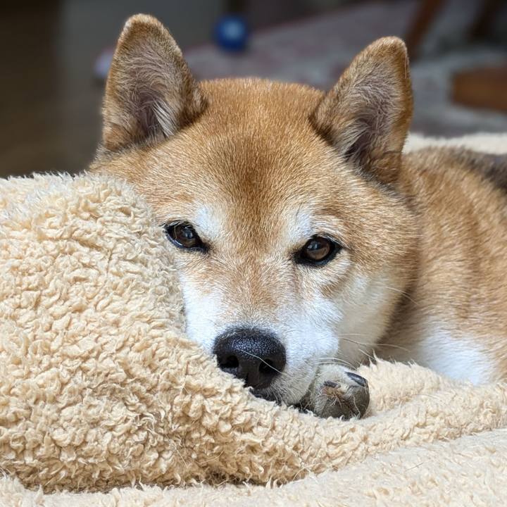 B668149b d0f6 438f 9ea7 58a1a408ae34 1720603227349