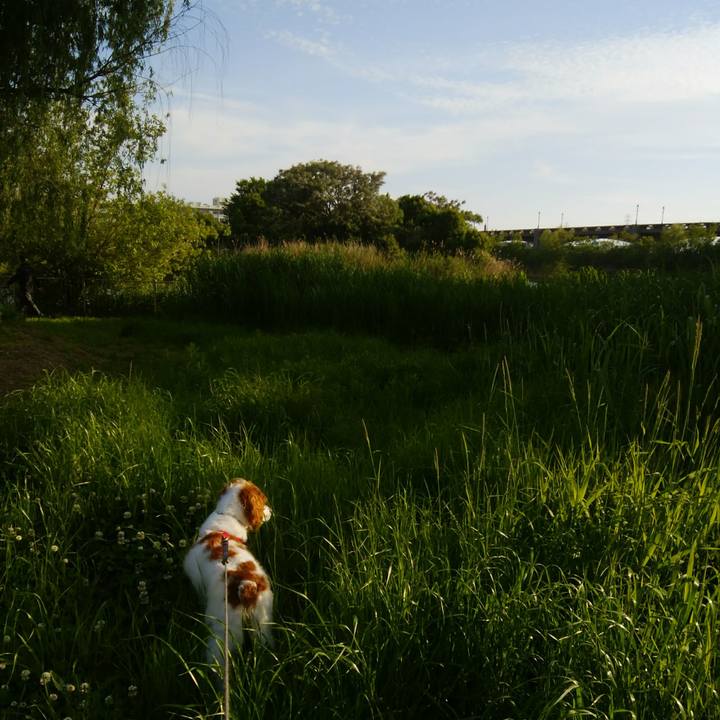 B66846ec e038 484e 90a5 1709bffcb6e1 1526126927002