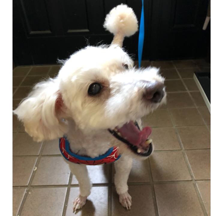 B6685805 4515 49ae 84a4 41efc996982e 1535122982458