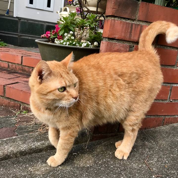 B668826c 6675 47a8 9d40 d63c3e8d143e 1517308181620