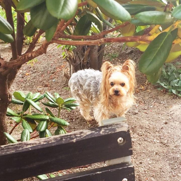 B668a0f9 1897 45d3 9469 bbf027e44a46 1533273589258