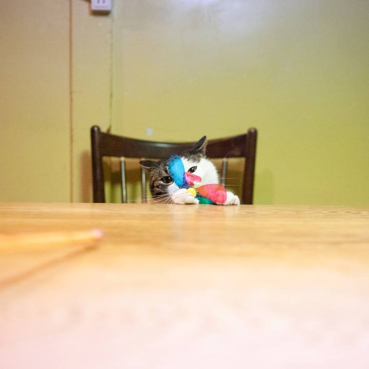 B668cbf4 a487 43f9 a41c 8aeb733c5b6d 1583578373349