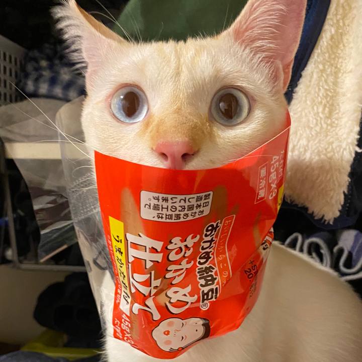 B6692509 9ef5 499b 9b14 74c47dae4b06 1596880268842