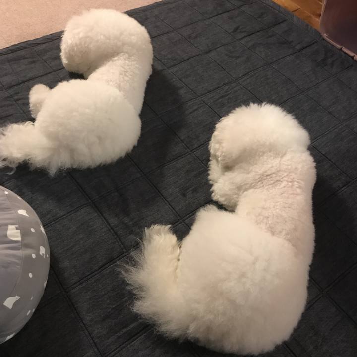 B6694634 b714 4587 be3d edc291e9b976 1565170384151