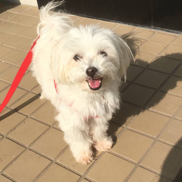 B6699e5e 0728 4f13 891c d1eb79c63aff 1525936067619