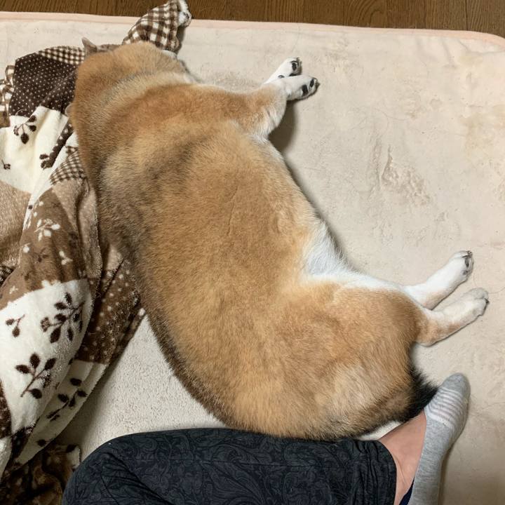 B669a6e8 cfe5 4c9e ab99 15a27044f3db 1572684754739