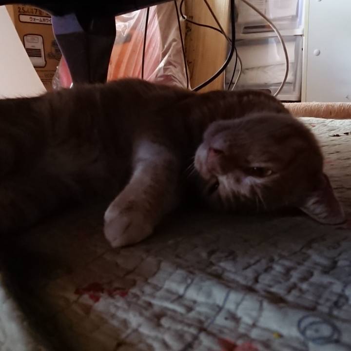 B669b19c 1a72 4178 b874 bae918b6338a 1564809049482