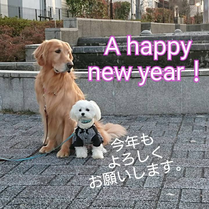 B669c932 aa19 4801 a5eb 86f05b5de10b 1577888235509